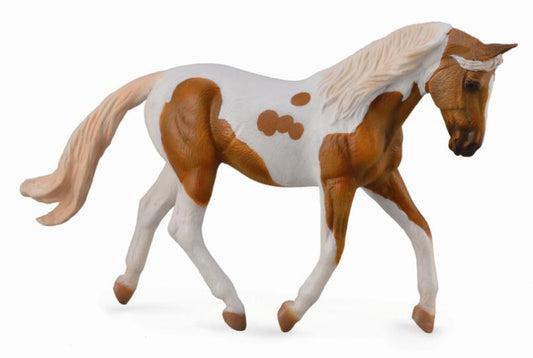 PINTO MARE PALOMINO (XL)