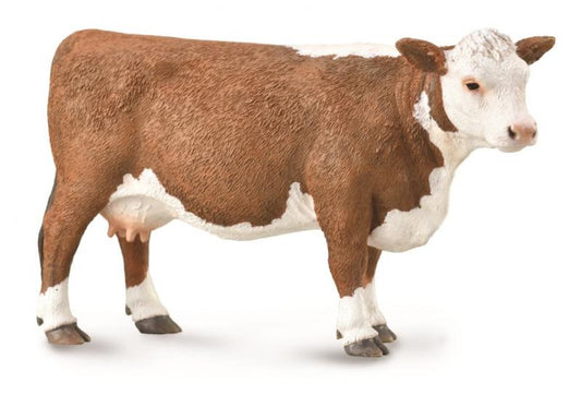 HEREFORD COW (L)