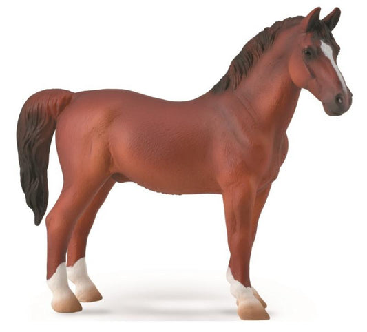 HACKNEY STALLION CHESTNUT