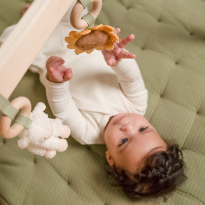 Little Farm Baby Gym