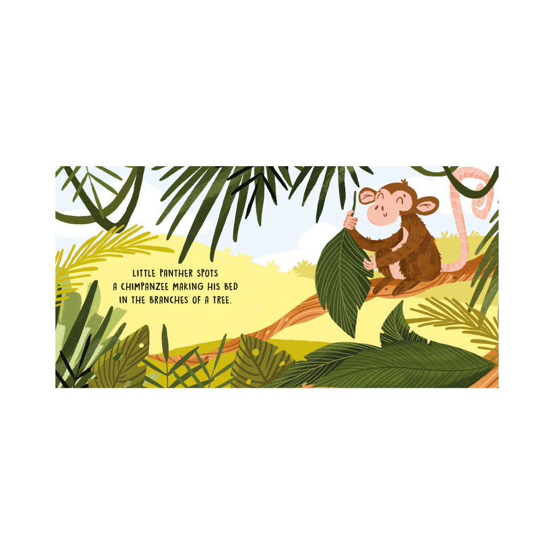 Sassi Board Book Sweet Sounds Stories - The Jungle