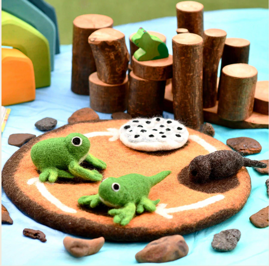 Felt Life Cycle of Frog