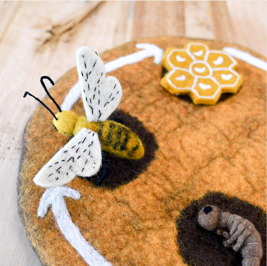 Felt Life Cycle of Honey Bee