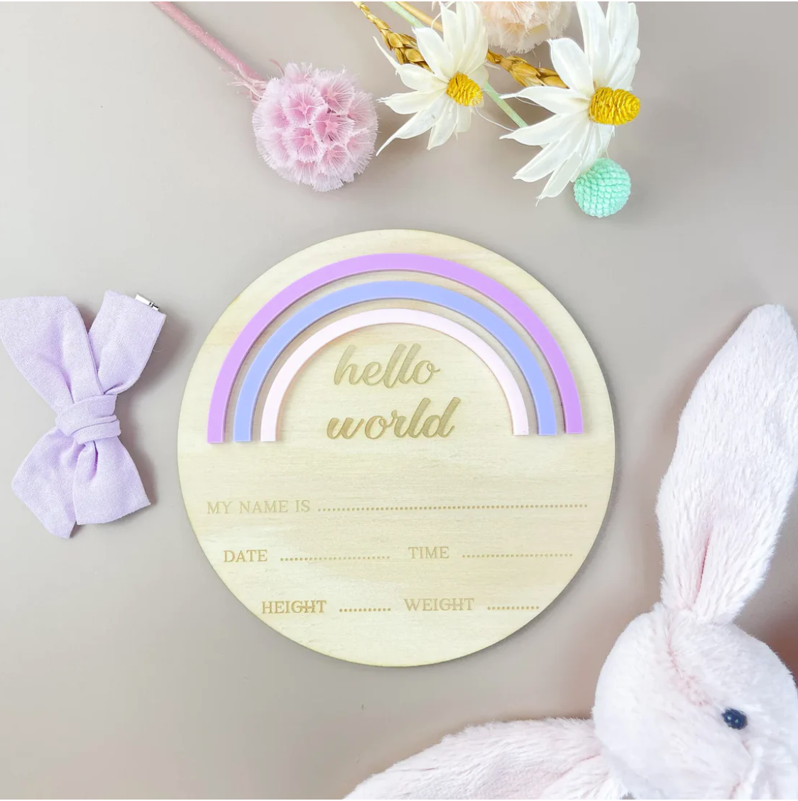 Hello World Announcement Plaque - Rainbow - Pink/Purple