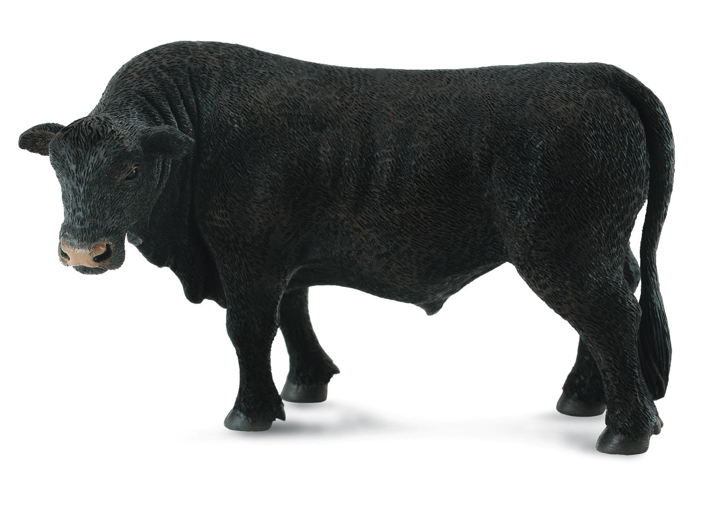 BLACK ANGUS BULL (L)