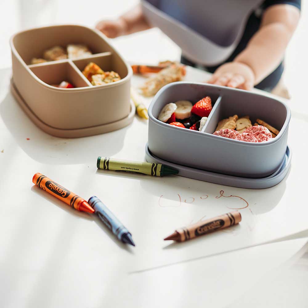 Silicone Large Lunch Box - Assorted